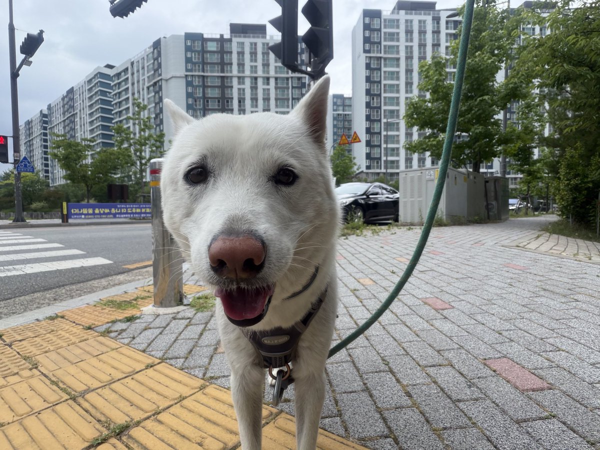 쭘스 tweet media