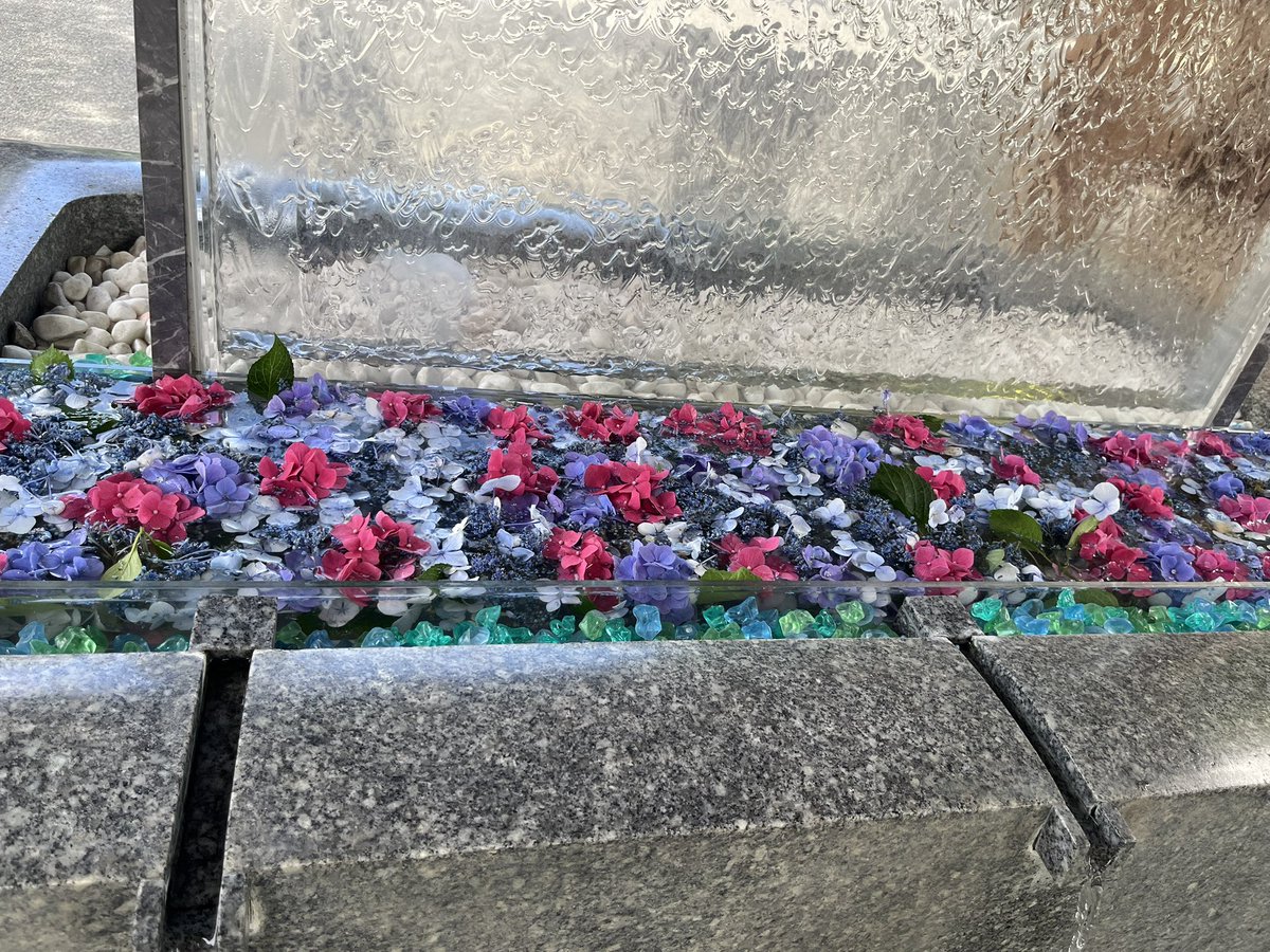 mashamaruko's tweet photo. 手水舎に紫陽花、綺麗でした https://t.co/aRBp4M4WxL