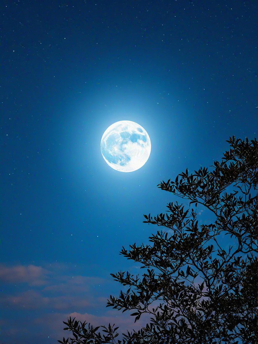 jonis_reyes's tweet photo. May the glow of the mid-autumn moon wrap you in warmth, joy, and sweet reunions. Happy Mid-Autumn Festival! https://t.co/WOZYtpC8sw