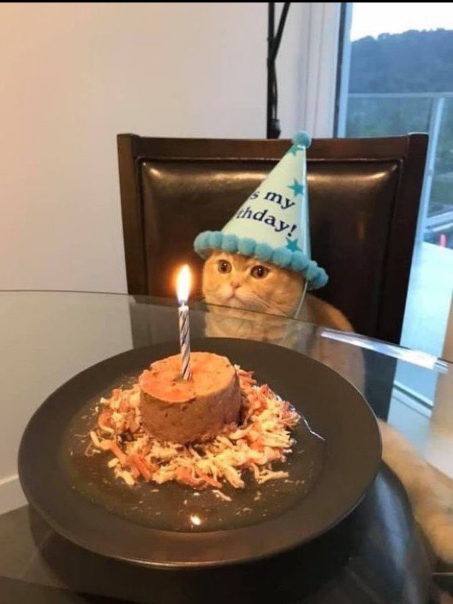 FourEyedBaker's tweet photo. Everybody say “Happy Birthday, Tasleemah!”🤭 https://t.co/1mjuPV1mjb