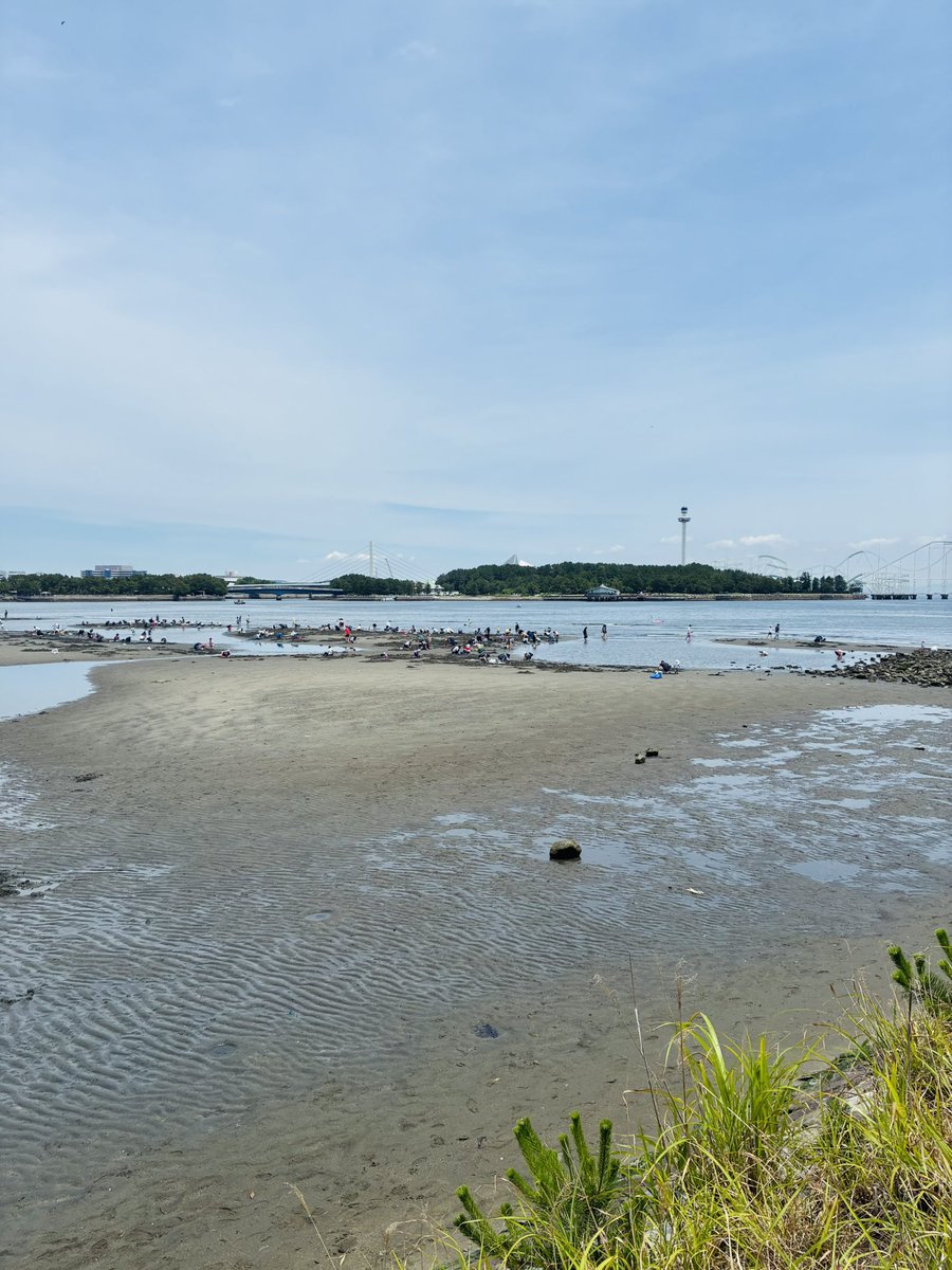 RinoLeo128's tweet photo. こんばんは🌕
昨日は約束していた海に🌊
そして久しぶりに狩りを🏖️🐚🪏
潮目よくかなり引いたので奥まで！
やっぱり深かったけどまぁまぁサイズ✨
夜はそれでカンパーイ🥃
本日も皆様、PEH✨で宜しくお願い致します🙇‍♂️ https://t.co/jN5PAO7Qqb