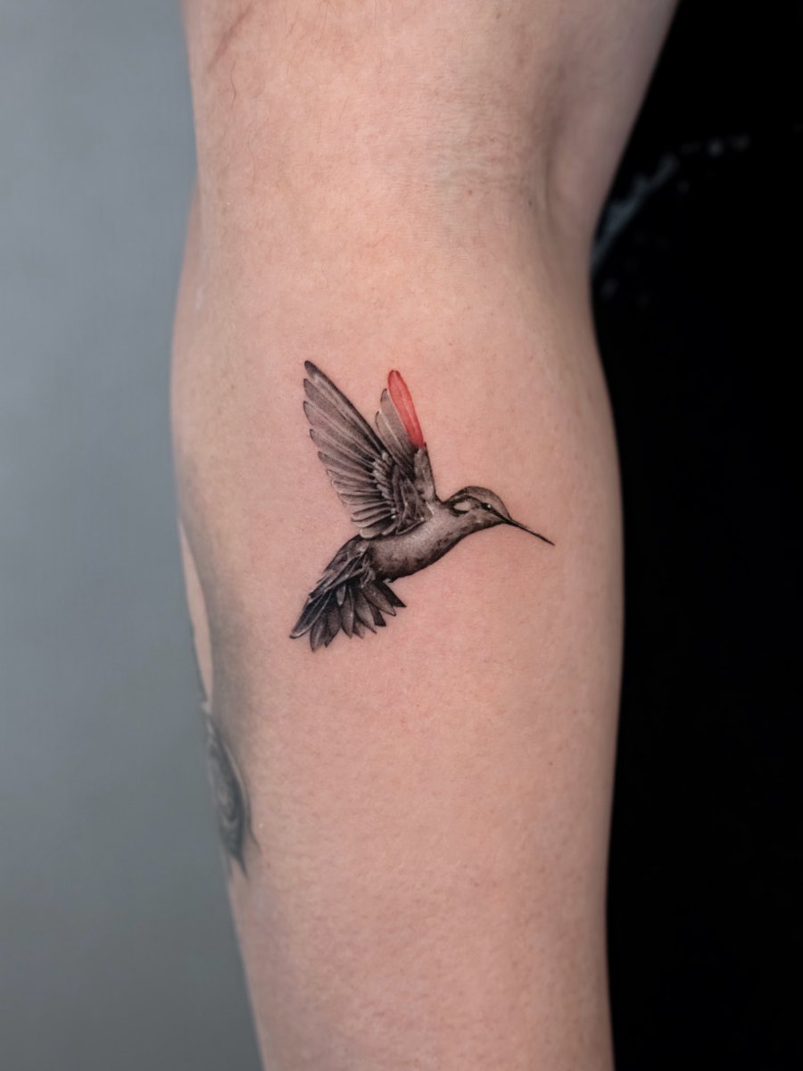 moojitattoo's tweet photo. bird tattoo🪶

#tattoo #realistictattoo #タトゥー #東京タトゥー https://t.co/1z8kCFktGR
