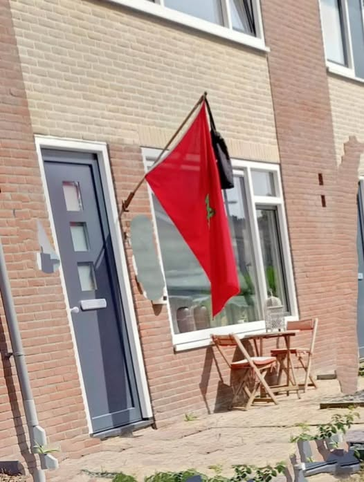 WimdenOudsten's tweet photo. In Nederland wonen, leven, toeslagen innen!, en ook  studeren op een school in Nederland. Betaald met Nederlands belastinggeld. En dan  geslaagd zijn met je examen en de Marokkaanse vlag uithangen  in een Nederlandse wijk... Dat is Integratie anno 2026!! https://t.co/CfZ0bpN7fZ