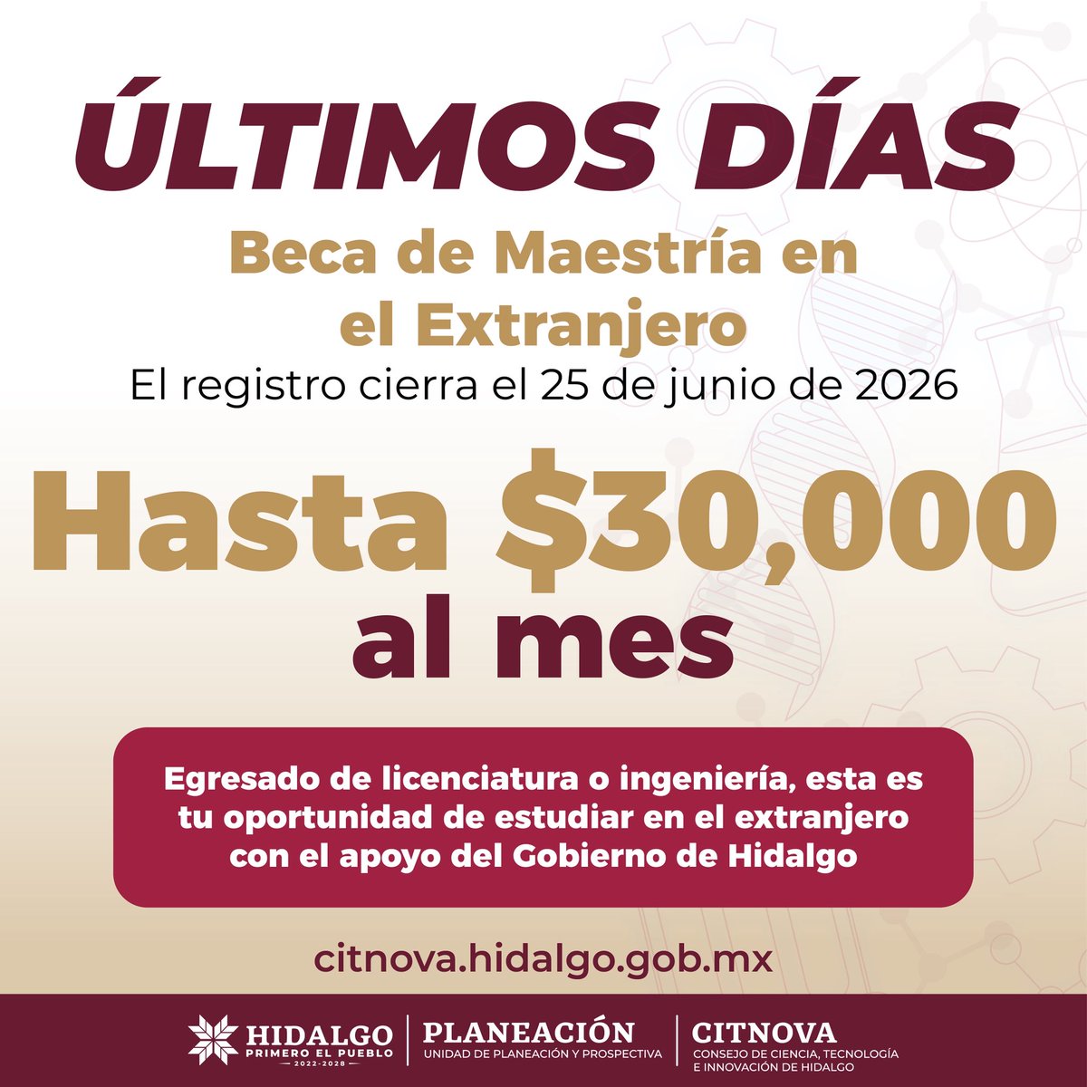 puntoporpuntomx's tweet photo. ⭕️|| 📚 El #CITNOVA tiene a su disposición la Beca de Maestría en el Extranjero para que las y los hidalguenses adquieran conocimientos globales que impulsen el desarrollo regional.
Consulta los requisitos y las bases para participar en: 🔗 https://t.co/nitEmGJMwL https://t.co/UMqgwF9Mj4