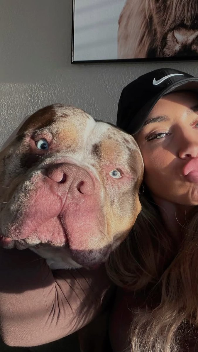 Rose35900's tweet photo. 😋🐶💦❤️
#usa #dogs #zoophilia #bestiality #doglover #dogknotting #dogsex #knotty #dogpill #dog #puppy #dogwhore #dogwoman #transgender #LGBTQ #dogwhore #artofzoo #artofzoofirsttime #pawlove #doglover #nsfwtwt https://t.co/FZ9AvWou0I