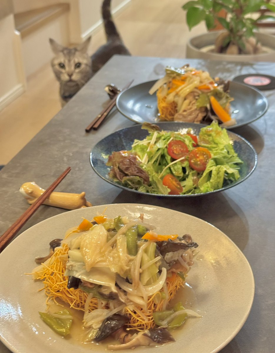 ryosiro's tweet photo. 食と猫 https://t.co/YzZ7S9CkYe