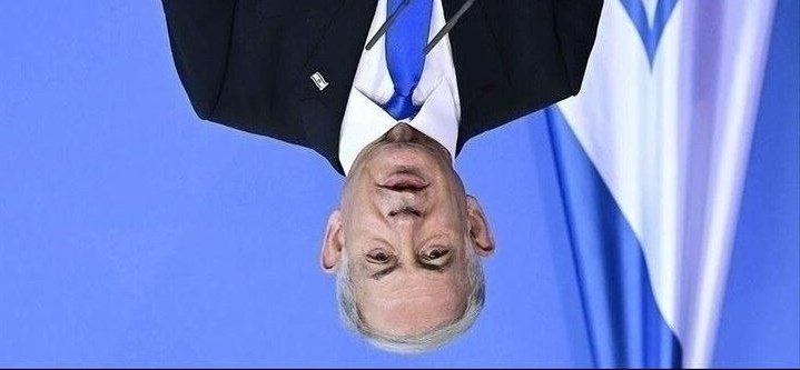 S p r i n t e r tweet media