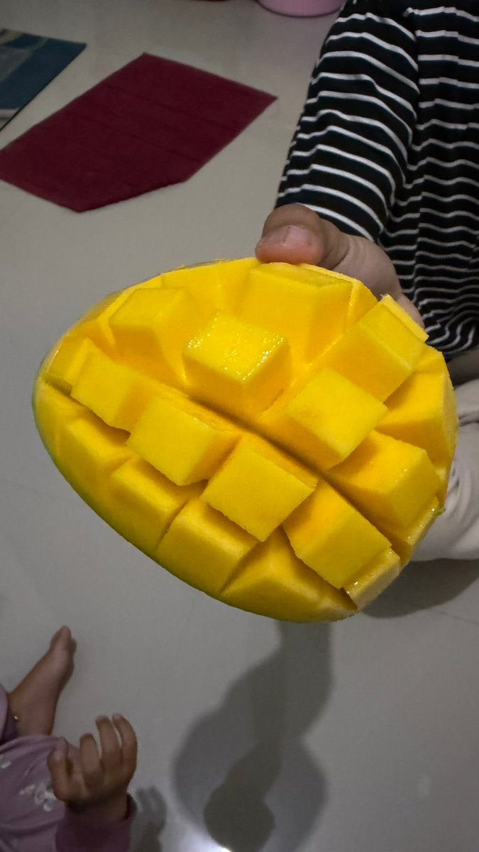 slamanullah10's tweet photo. . Ramein yuk jualanku. Ready stock😍 sehat langsung dari petani😍minta di komen ya kak biar rameh jualanku🥹
Pricelist nya
Mangga gedong gincu super Rp.35.000/kg
Mangga thailand jumbo Rp.20.000/kg
Mangga harumanis Rp.26.000/kg
Mangga indramayu Rp, 21.000/kg Buah https://t.co/teC2BfpFTQ