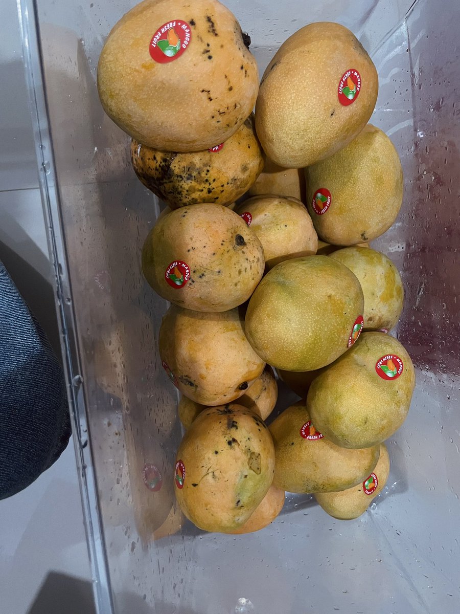 slamanullah10's tweet photo. . Ramein yuk jualanku. Ready stock😍 sehat langsung dari petani😍minta di komen ya kak biar rameh jualanku🥹
Pricelist nya
Mangga gedong gincu super Rp.35.000/kg
Mangga thailand jumbo Rp.20.000/kg
Mangga harumanis Rp.26.000/kg
Mangga indramayu Rp, 21.000/kg Buah https://t.co/teC2BfpFTQ