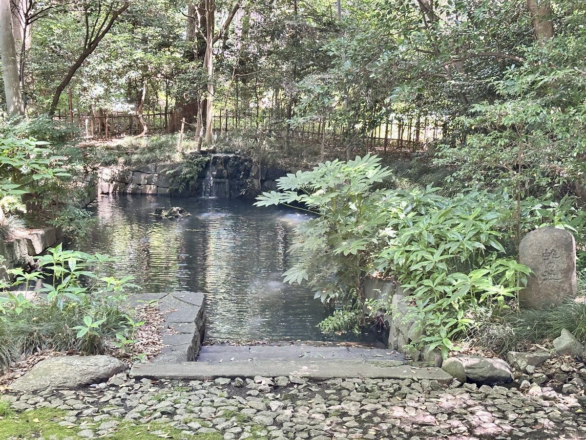 daimrar's tweet photo. 愛知県一宮市（尾張一宮）から来て、大宮の武蔵一宮（氷川神社）を見てきた。都会のど真ん中にあるのに、境内が広く、参道が長く、単純に凄い！って思ったわ。 https://t.co/jTatfDhVBd
