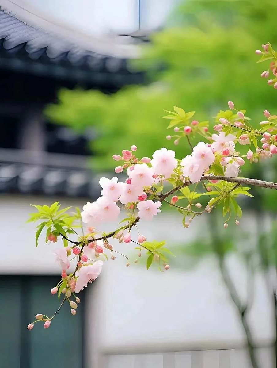 ejdcute's tweet photo. New to photography Start with mastering natural light u0026 keep your shots simple! These basics will level up your pics in no time! https://t.co/UFuFzp5khS