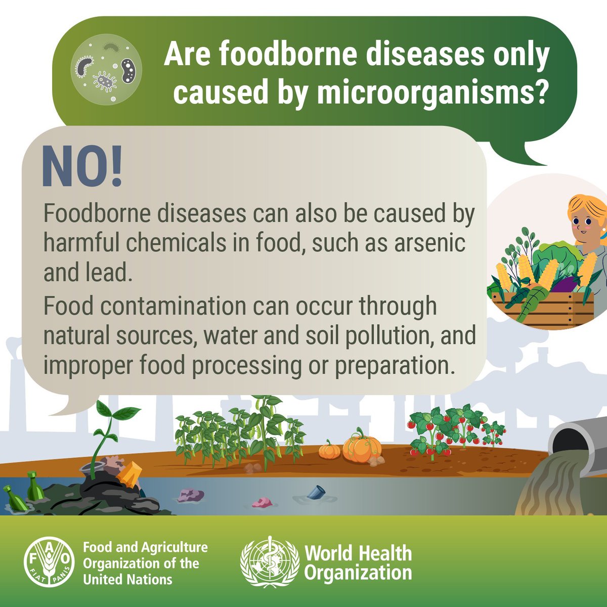 FAOWHOCodex's tweet photo. 🤔 | Are foodborne diseases only caused by 🦠❓

❌NO❗️❌

👉Foodborne diseases can also be caused by harmful chemicals in food, such as arsenic and lead. Food contamintation can occur through natural sources, water and soil pollution, and improper food processing or preparation. https://t.co/yC9iTOZU2E