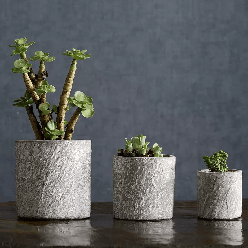 prasangiperera's tweet photo. Just finished my first DIY concrete planter!  Sand + cement + a fun silicone mold = my new go-to for small succulents. Who’s testing a simple DIY project this weekend https://t.co/7USS7pHJuO