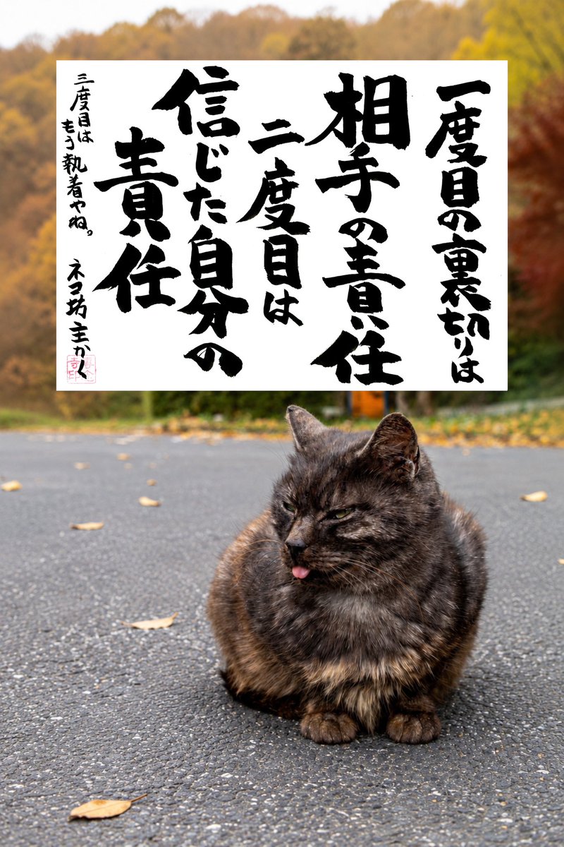 yabumoto610's tweet photo. ネコさんから人間さんへ今日の一言 https://t.co/GCdopc8UkB