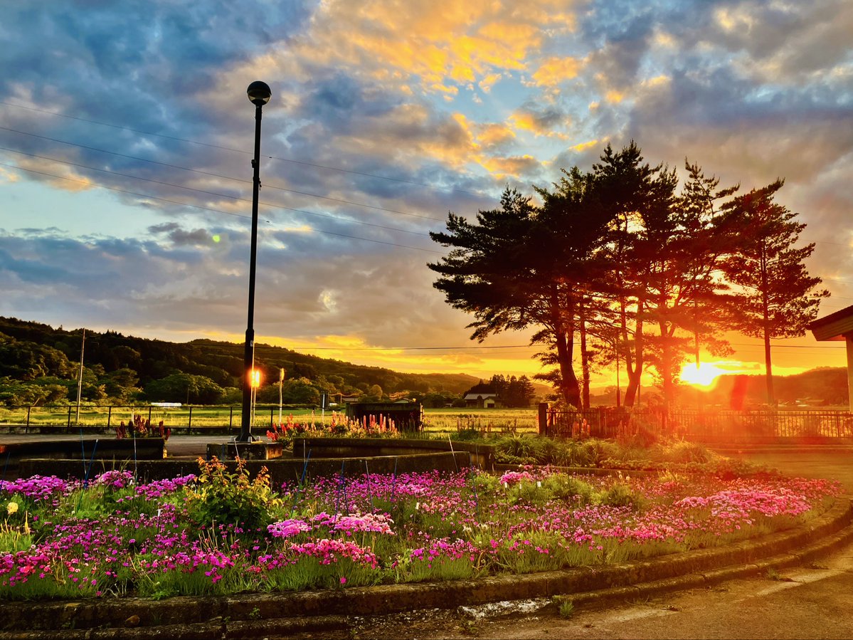 natui_chou's tweet photo. 夏井市民センターからの夕日
#夏井百景
#夏井市民センター
#夕焼け https://t.co/RmzT6IlyIB