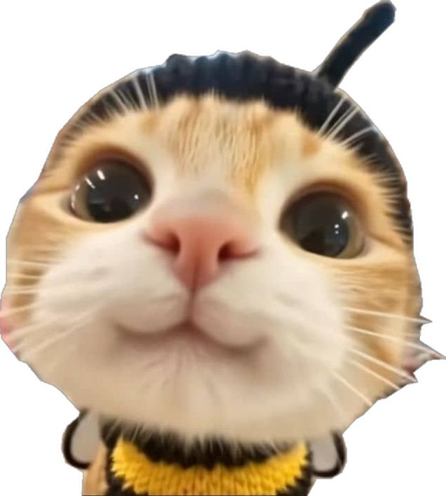 Sungchaon's tweet photo. @Sungchaw https://t.co/tkYoWn4crE