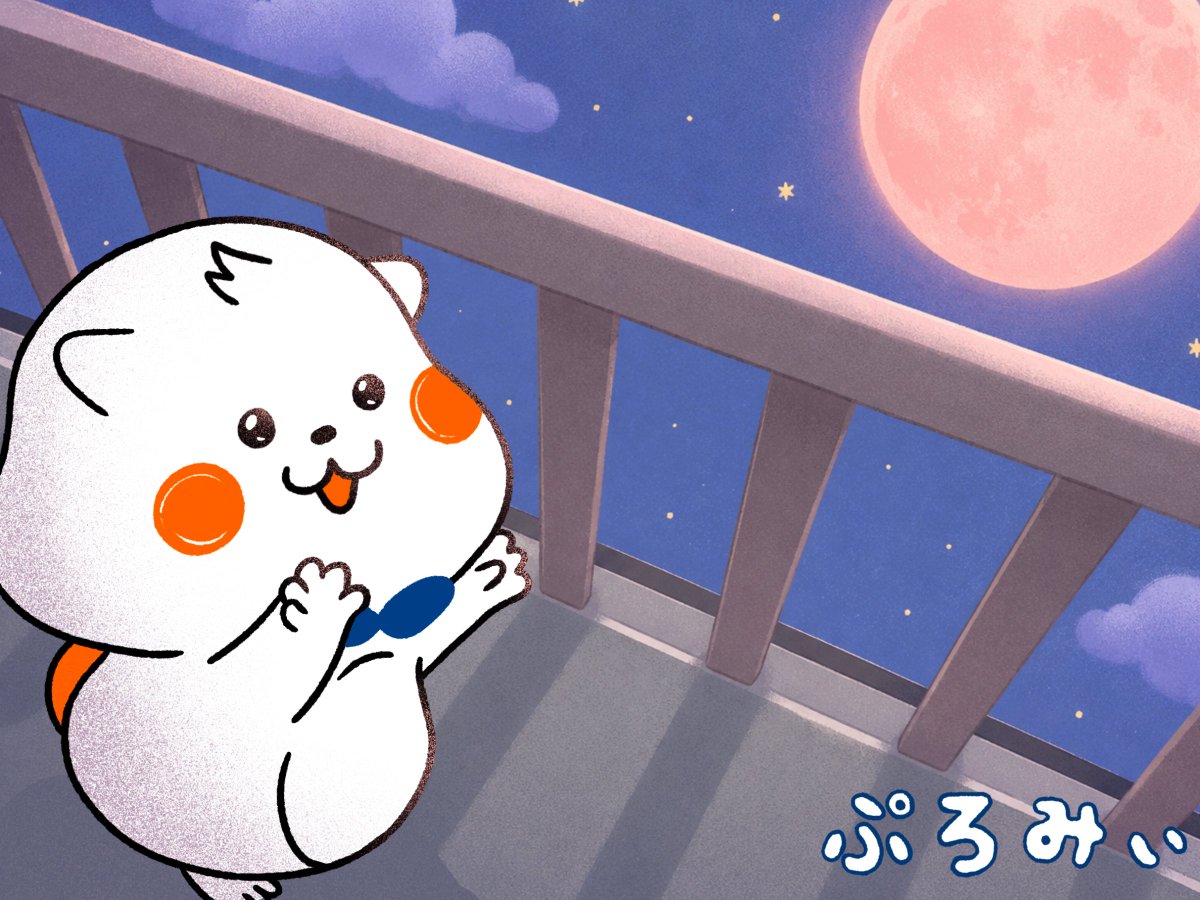ぷろみぃ【公式】 (@promise_puromi) / Posts / X