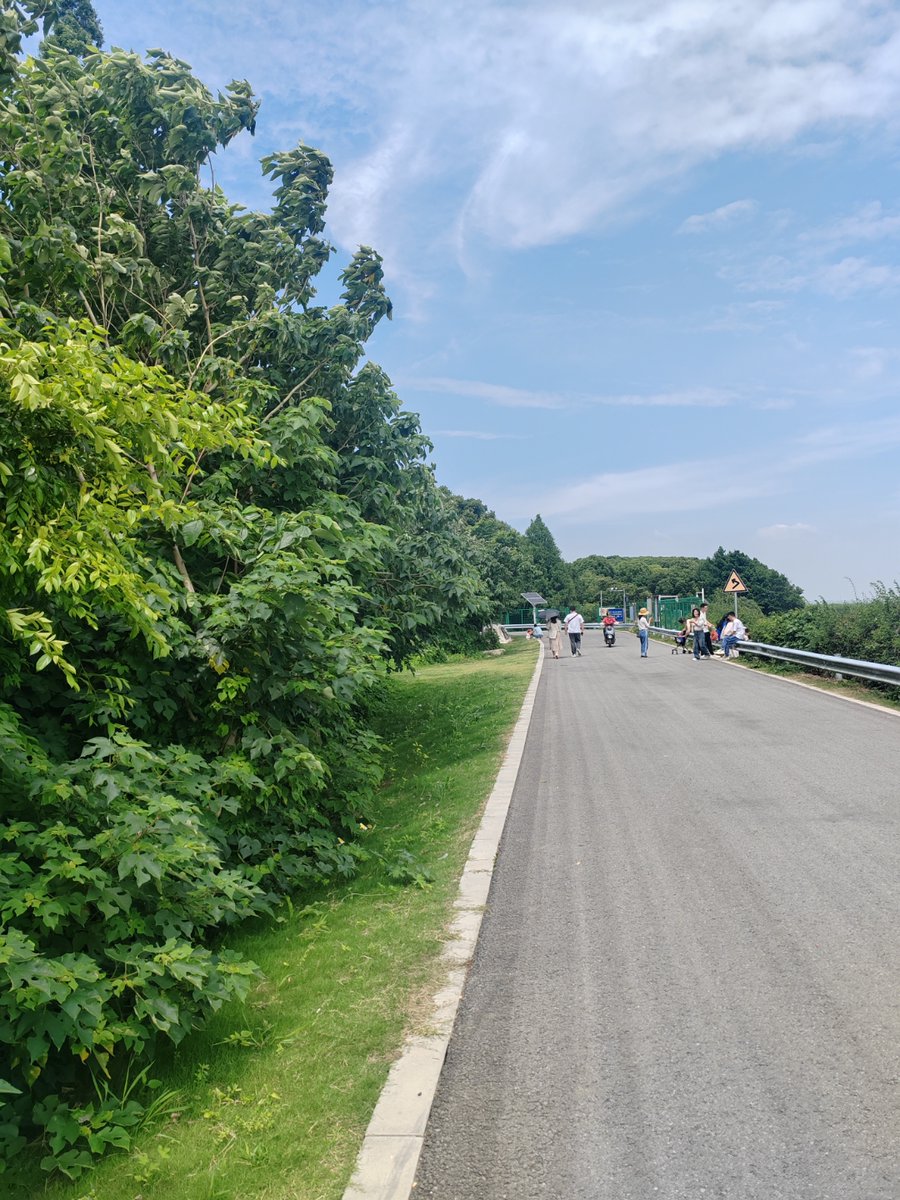 toromer's tweet photo. Just had the most incredible morning cycling along the coastal path—fresh sea air, golden sunlight, and zero crowds. A perfect little escape that made my whole week. https://t.co/BmlScobAu2