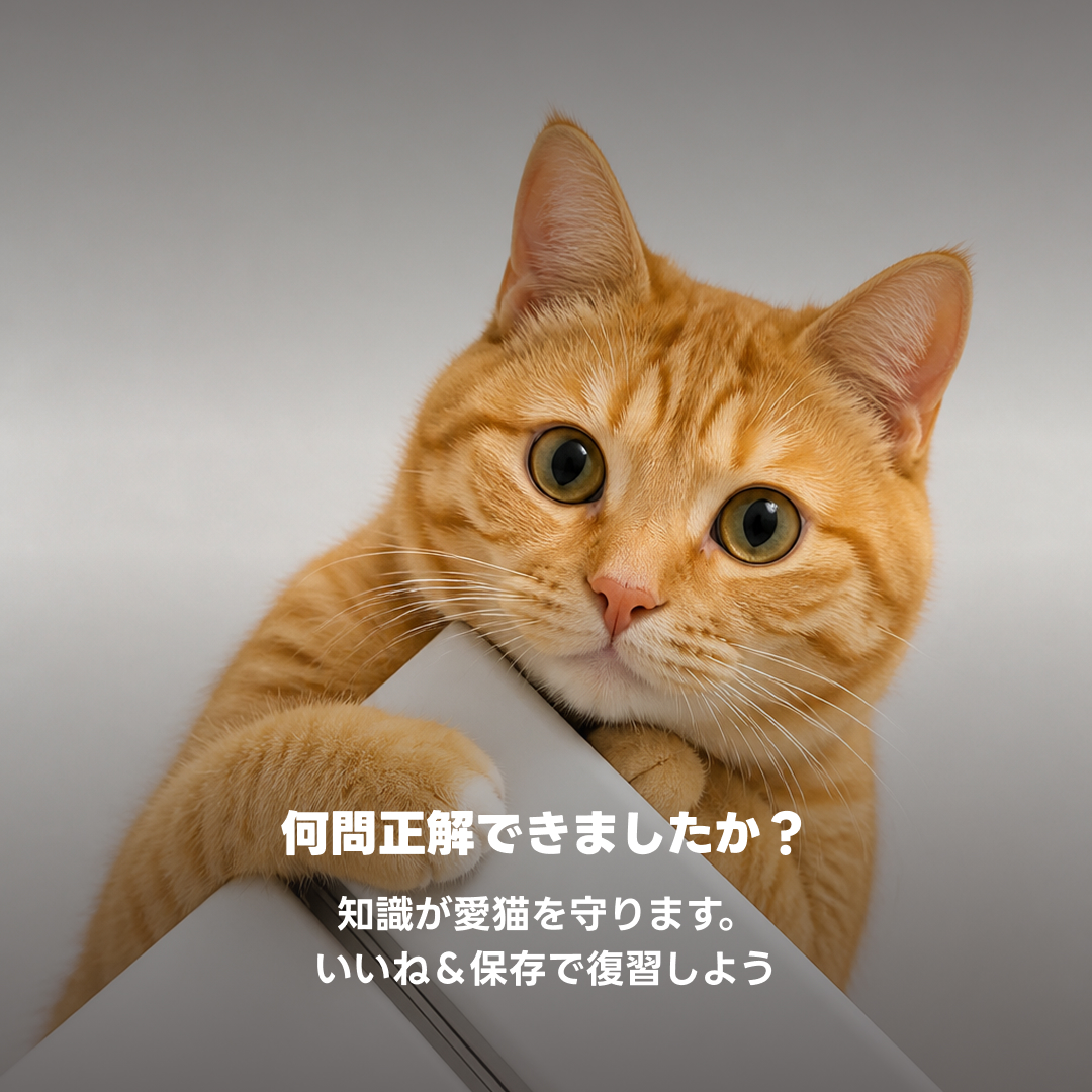 PETHROOM JP tweet media