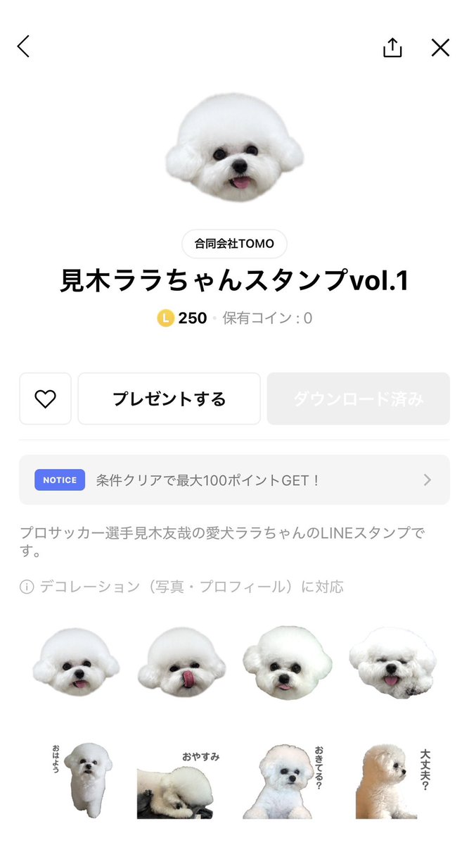 0328_tomoya's tweet photo. ララちゃんのLINEスタンプが出ました🐻‍❄️
ぜひチェックしてください☑️

https://t.co/BJgywO51GN

#ララちゃん https://t.co/5VAZyzvZZG