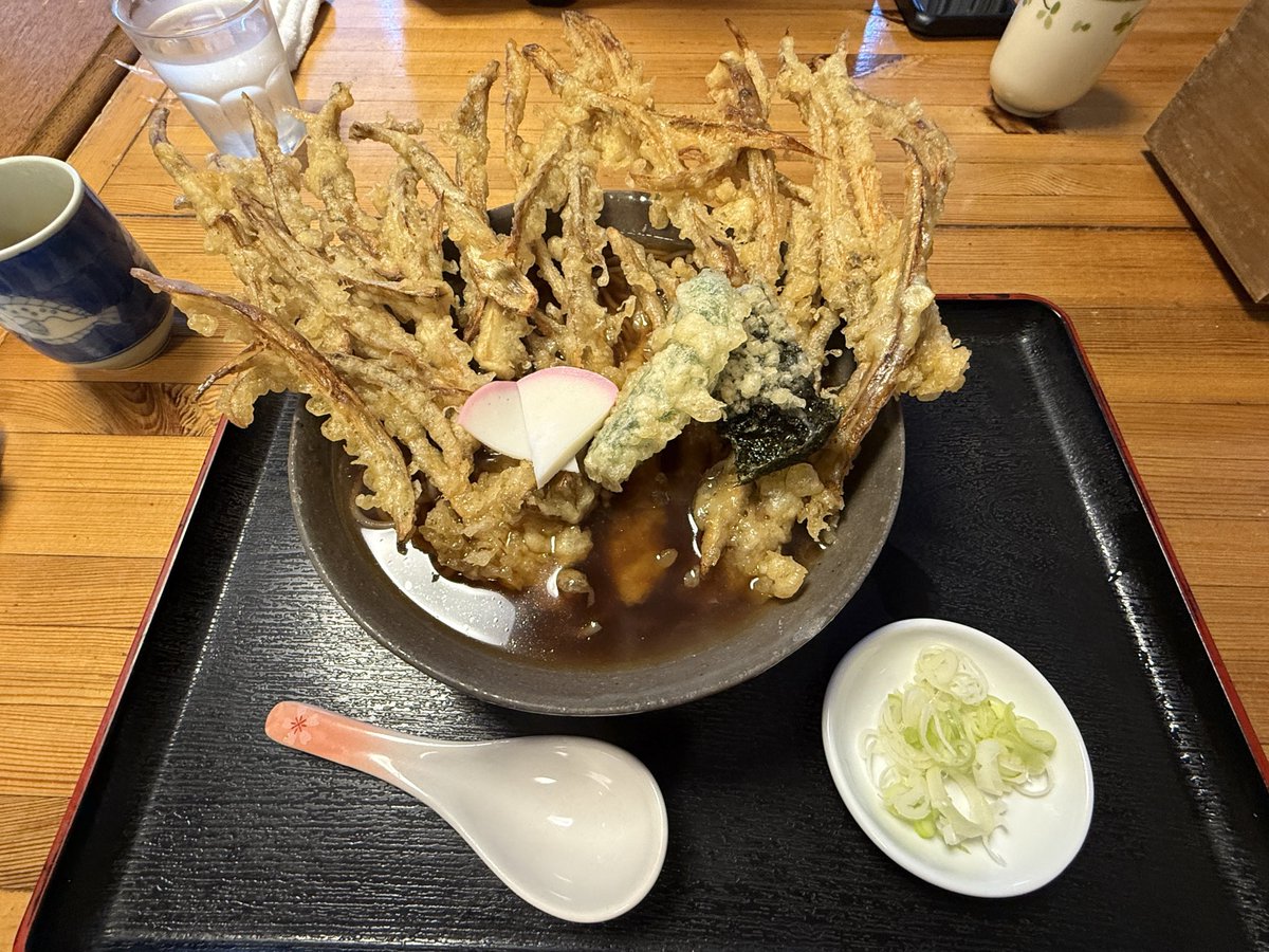 marutimeko's tweet photo. 「有名なごぼ天があるから行ってみよう！」

⬇️

【【【ごぼ天食べ終える時点で腹パン】】】 https://t.co/ci78ozUlyT