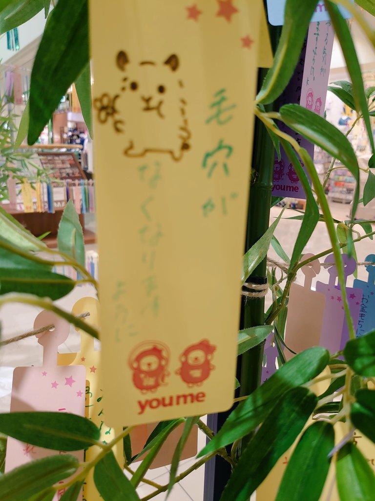 seigou's tweet photo. おっちゃんが彦星になったろか？
ぐだぐだ祈ってねーで、とりあえず全員告ってこいよ笑笑 https://t.co/tDB0yEbObC
