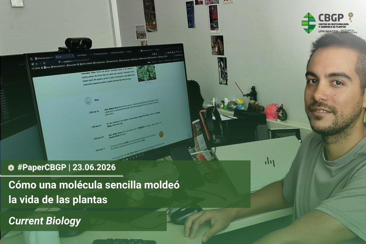 CBGP_Madrid's tweet photo. 🆕📰‼️#PaperCBGP 

🌱 Cómo una molécula sencilla moldeó la vida de las plantas.

🔗 Puedes leer la noticia completa aquí: https://t.co/rJtoFey1GO

@WURplant https://t.co/4YlcFuphpK