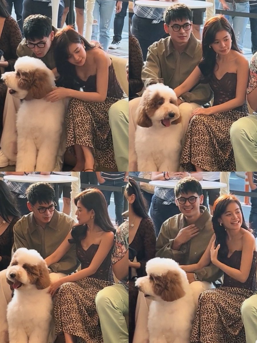 dustinforbianca's tweet photo. dustbia &amp; their love for dogs 🥺 saurrrr kyutttt 🐶🤏 https://t.co/NJowAseGt3