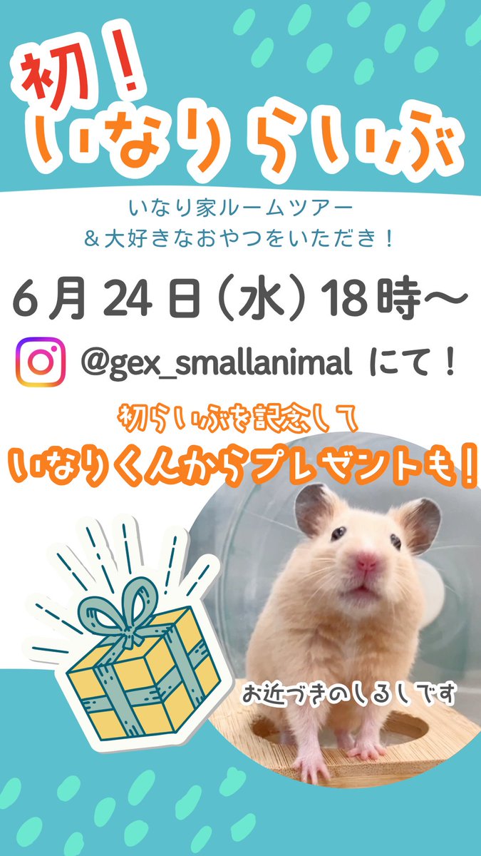gex_petlife's tweet photo. 【🐹初！いなりらいぶ！】
6月24日（水）18:00～Instagramにて、初めてのいなりらいぶを実施いたします！

今回はいなりくんのおうちをルームツアー形式でご紹介🏠
社員ハムスターとして、しっかりリポートできるかな…❓
ご褒美おやつ🍎もご用意しておりますので、いなりくんがしっかりリポートできるよう応援よろしくお願いします🐹

そして…
初のいなりらいぶを記念して、いなりくんが皆さまへプレゼントを用意してくれたみたいです✨
ぜひご視聴＆コメントお待ちしております！

配信はこちらのアカウントから！
https://t.co/DjqpdBYVq6