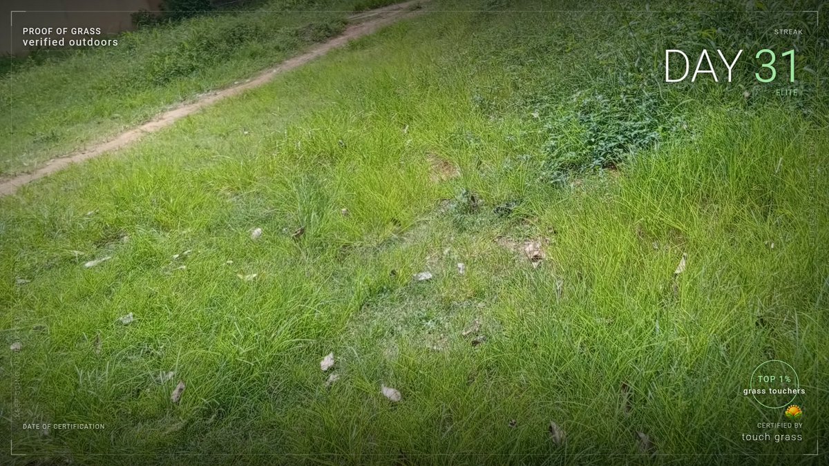 Timipiye's tweet photo. i did not miss a single day. the chain is unbroken.

Day 31 · proof of grass 🌿

$TOUCHGRASS #TouchGrass #ProofOfGrass
@XTouchGrass · https://t.co/qX9A0CPbf1 https://t.co/blWQgTrlzr