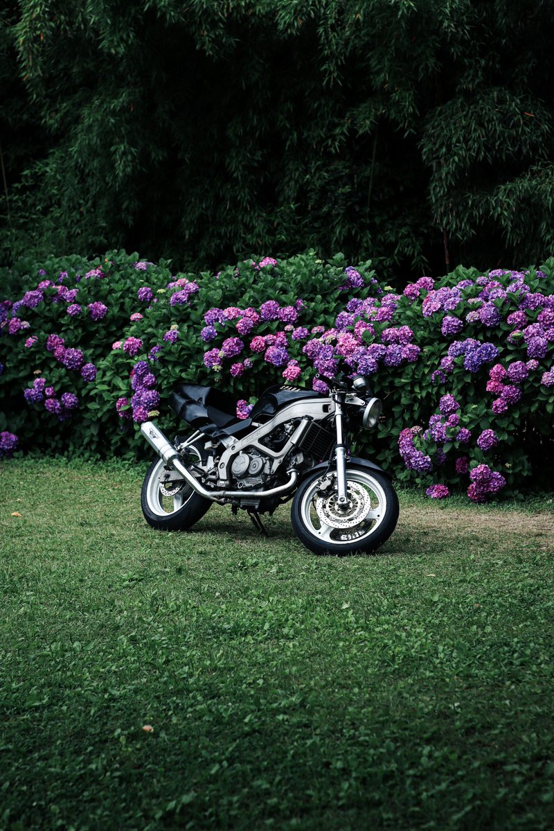 yu_ya_04's tweet photo. 梅雨始まる前に紫陽花📸
 #紫陽花  #バイク #一眼レフ  #バイク乗りと繋がりたい https://t.co/9HkbanADMM