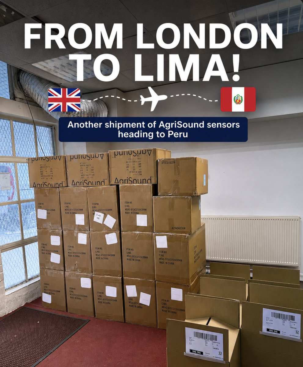 AgriSoundTech's tweet photo. From London to Lima! ๐ฌ๐งโ๏ธ๐ต๐ช
A busy week at AgriSound HQ as another large shipment of sensors heads out for deployment in Peru.
More sensors, more data & more fruit! ๐
#AgTech #PrecisionPollination #Pollination #FarmData #Horticulture #Peru #AgriInnovation #Agriculture https://t.co/XTTHOS2XhM
