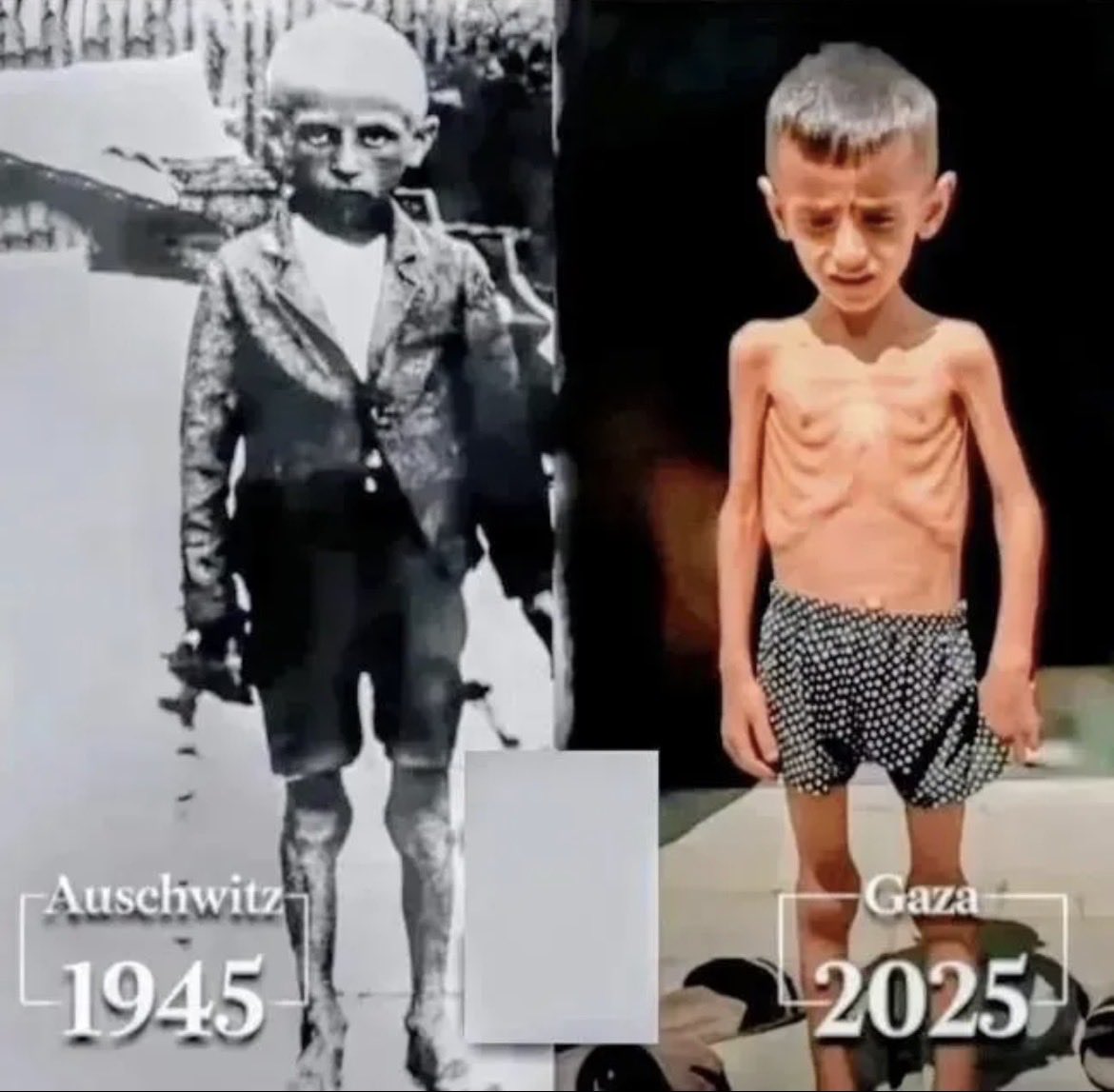 CatovicEdina's tweet photo. @isaacrrr7 🇵🇸🇵🇸🇵🇸🇵🇸🇵🇸🇵🇸🇵🇸 https://t.co/j8Szi0OCvB