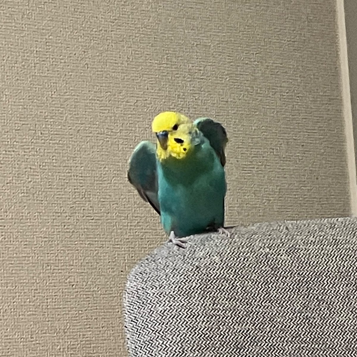 haterotom's tweet photo. ｽｻｽｻ https://t.co/bylvyqKOjs