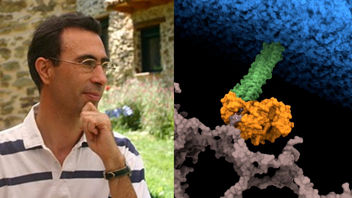 searavalero's tweet photo. Un equipo del @CSIC, en colaboración con @NotreDame, ha identificado el talón de Aquiles de Pseudomonas aeruginosa, una de las bacterias más resistentes a los antimicrobianos. En #Máscerca @radio5_rne hemos hablado con Juan Hermoso @iqf_csic, 
https://t.co/00QPvrIWYn https://t.co/vOBmN8r74S