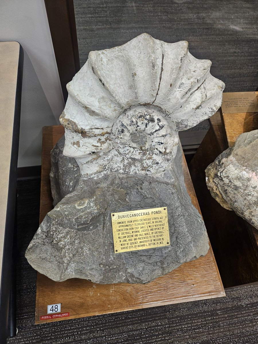 DaveandGrok's tweet photo. Museum at UMKC , looking at these fossils,its wild to think about Missouri once being under the ocean and now being 910 feet above sea level. Its an interesting world we live on. #UMKC @UMKC https://t.co/nFc2KYnmd5