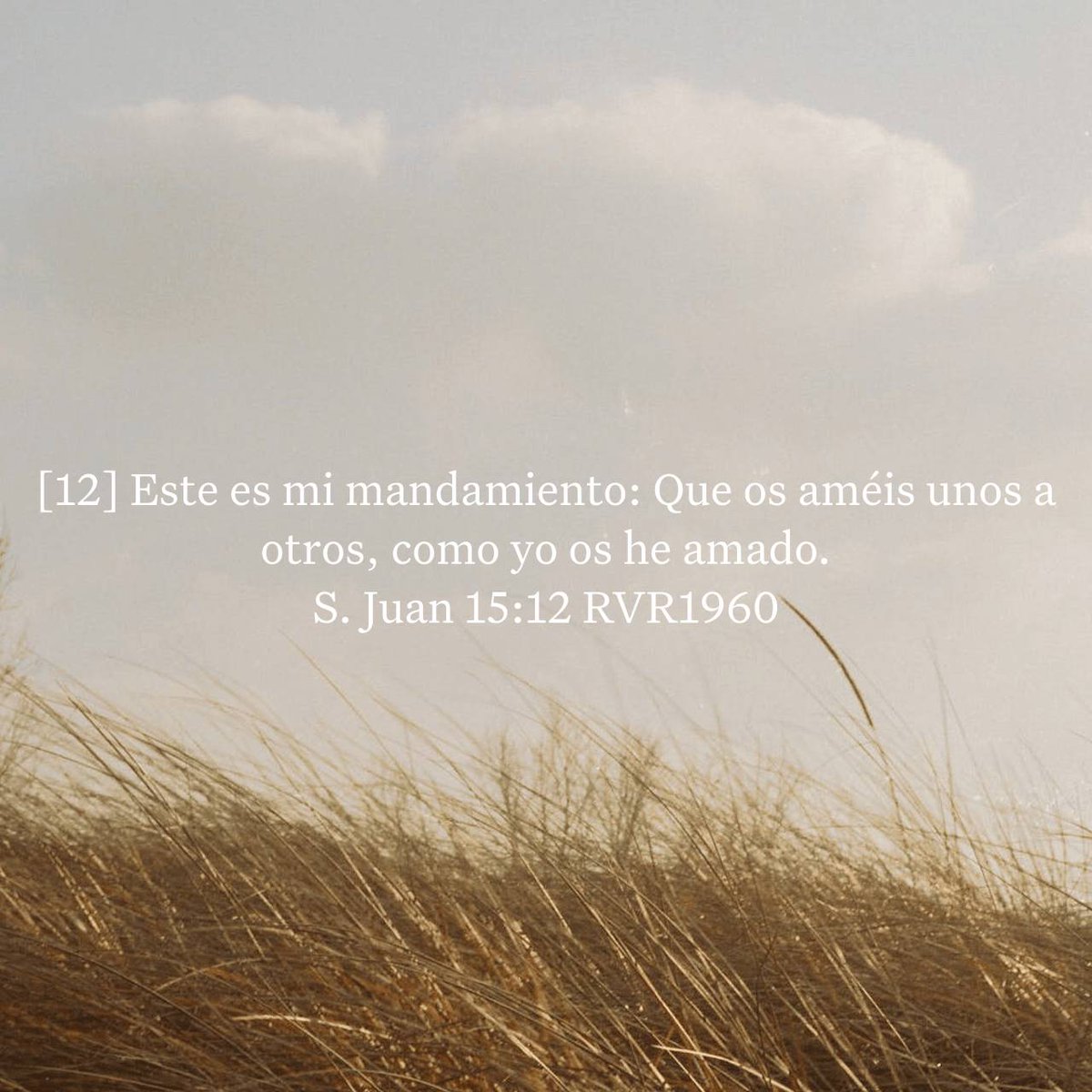 enlassse's tweet photo. Bendiciones hermanos todos.   S. Juan 15:12 RVR1960
[12] Este es mi mandamiento: Que os améis unos a otros, como yo os he amado. https://t.co/lVFdYjlbHZ