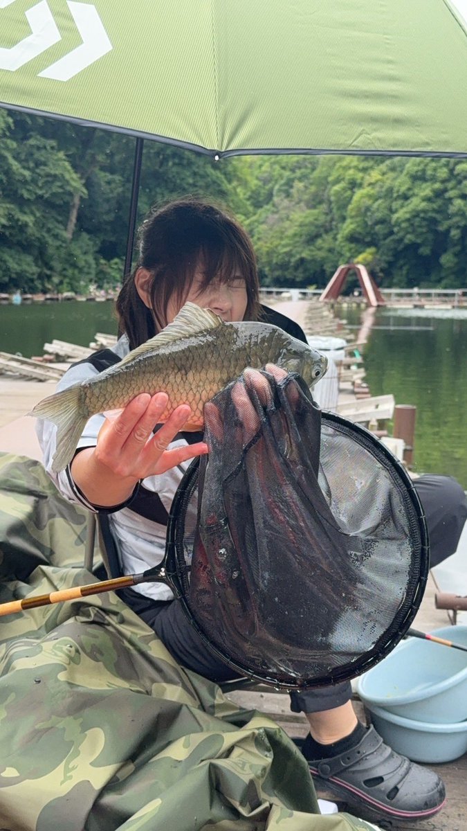 _asukaaaa2's tweet photo. 月曜日はこしっちゃんとみついくんと
大好きな清遊湖でした🎣

猫に餌やりババアしてきた🐈🐾

ちゃんとヘラブナ釣りもしてきました😂
こしっちゃんたちは沢山釣ってたけど
あすかは54枚しか釣れなかった😭
新記録ならず...悔しい!

 写真撮る瞬間ヘラ汁かけられて
面白いショット撮れましたw https://t.co/cSkeLPt73A