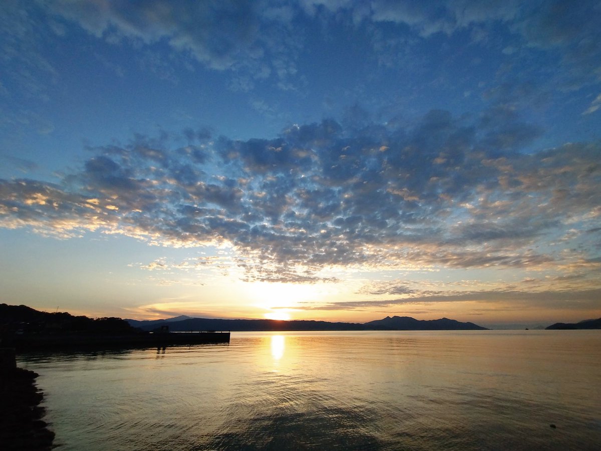 ats2uko_1's tweet photo. お疲れさまです こんばんは✦
雲いっぱいだった空に光が見えた本日の夕空。
久しぶりに青鷺さんにも会えました！
3つ並んだピンクのカラー&amp;めちゃ増えたレモンミストに3つだけ伸びてぴょこんと!!!
(なんか寄り添っとるみたいで胸があつくなりました♡)

皆さんが穏やかで優しい時間を過ごせますよう★ https://t.co/85L4mTbNEn