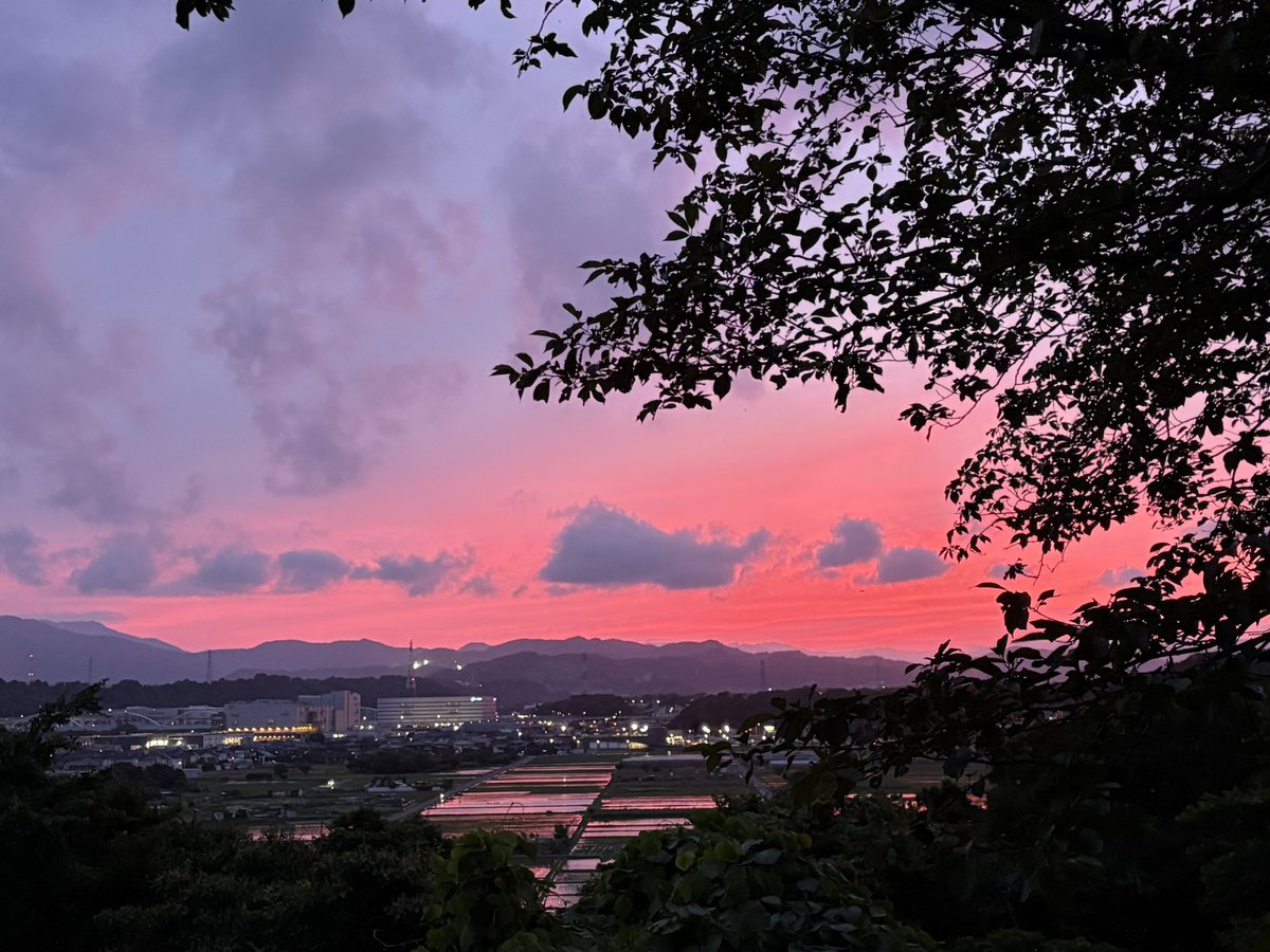 salisali72's tweet photo. 帰り道🦮
色濃く焼けた🩷キレイ

 #イマソラ #夕散歩 #空がある風景 https://t.co/cgRQAunjvq