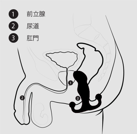 akimft's tweet photo. 久しぶりにプロガスムブラックアイス。昔より広がってスルッと入る。たぶん２コブは前立腺、先端は精嚢にフィット。蠕動で馴染むと挟まった感じになる。それでもキュキュっと締まりヌプヌプ動いて青いとこ全部敏感になる。性欲強くなって女さんがイク時みたいによじれる。医療特許品なので効果すごい。 https://t.co/xRpCmZ4yuR