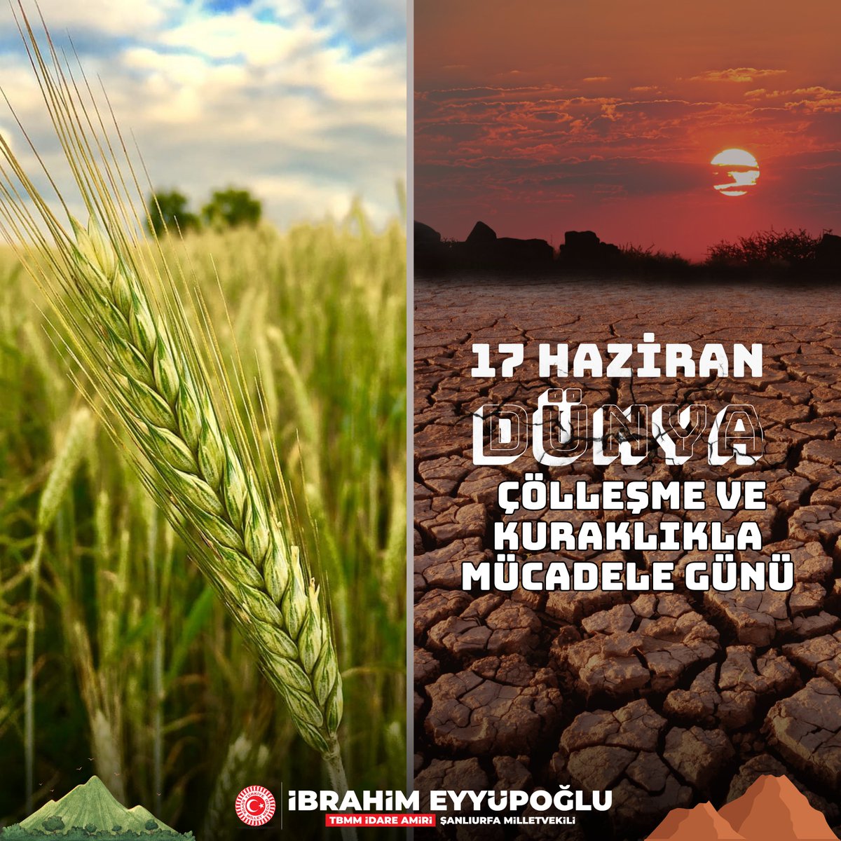 ibrahimeyyupogl's tweet photo. Kuraklık ve çölleşme; toprağımızı, su kaynaklarımızı ve geleceğimizi tehdit eden küresel bir sorundur.

Toprağımızı korumak, suyumuzu bilinçli kullanmak ve doğal kaynaklarımıza sahip çıkmak; gelecek nesillere karşı en önemli sorumluluğumuzdur.

17 Haziran Dünya Çölleşme ve Kuraklıkla Mücadele Günü vesilesiyle bir kez daha ifade etmek isterim ki; toprağına sahip çıkan, suyunu koruyan ve doğasını yaşatan toplumlar geleceğini güvence altına alır.

Unutmayalım; toprağı korumak, geleceği korumaktır.