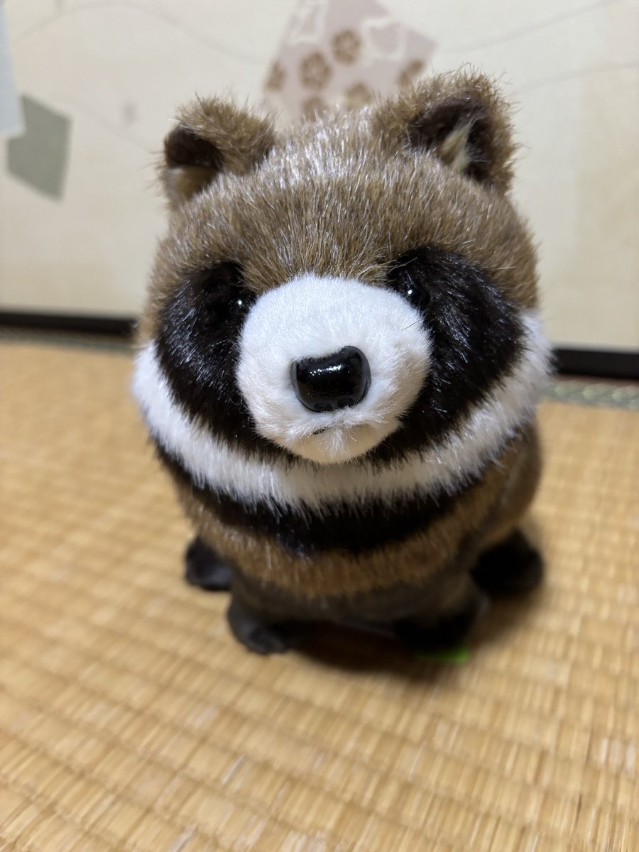 stroll310's tweet photo. #たぬぬい

吉徳たぬぬいｷﾀ━(ﾟ∀ﾟ)━!！
ずんぐり具合が可愛い～～～っ(*´˘`*)♥ https://t.co/AltxRcoZzA