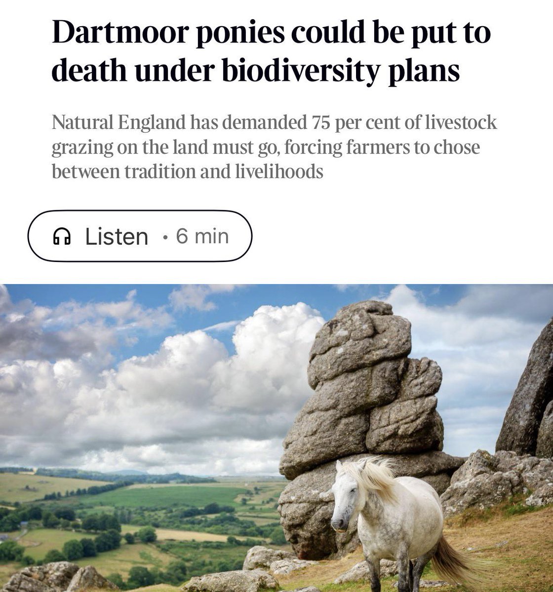 BenGoldsmith's tweet photo. On the left, *not* a Dartmoor pony.

On the right, actual Dartmoor ponies.

The photos used are a pretty good indicator as to who knows what they’re talking about and who is spreading conspiracy theories.

The interesting part is why they are telling lies about murdering ponies. Quite simply, a number of established vested interests do not want to see nature restored on Dartmoor or any of our other woefully nature-depleted landscapes. They want no change, and for the public money to continue flowing no strings attached.