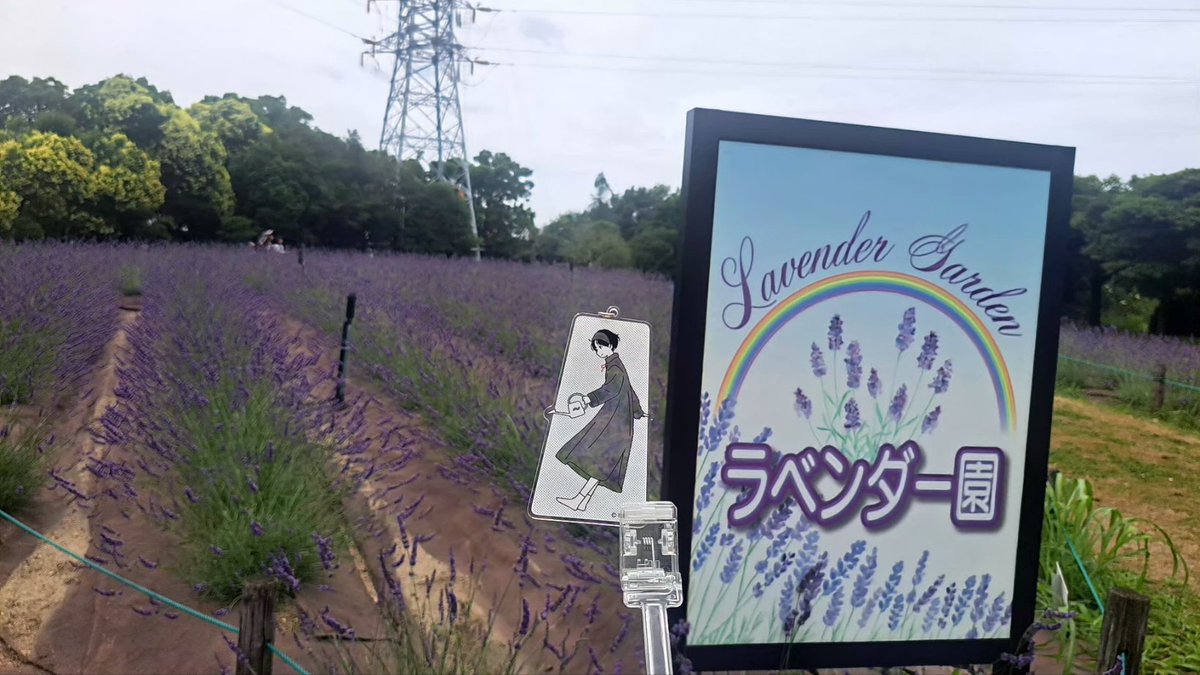 mint_ryouta's tweet photo. あと６日！
#お散歩ちゃん https://t.co/4UfBjowCGX