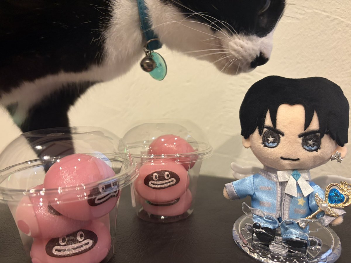 CATSsz5's tweet photo. ニャンコに襲われそうになる
おけんとさま😅 https://t.co/yNcmKHKY4Z