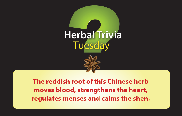 davidwinston's tweet photo. It's Herbal Trivia Tuesday! Post your guess and check back for the answer and more information about this herb on Thursday. The reddish root of this Chinese herb moves blood, strengthens the heart, regulates menses and calms the shen. https://t.co/YXHVgMphst