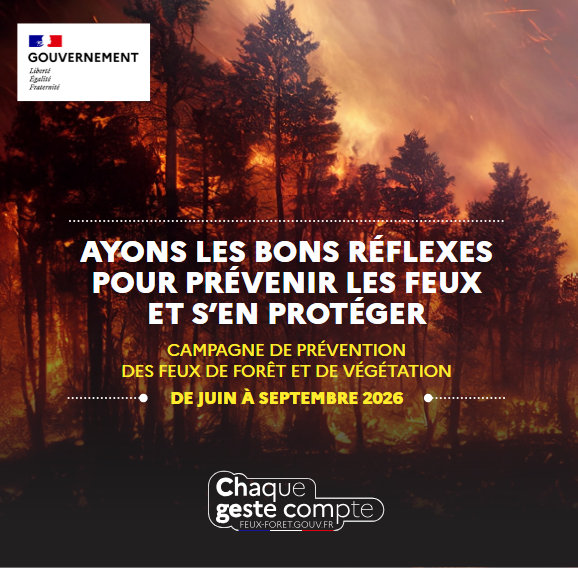 Prefet13's tweet photo. 🔥🌳Face au risque #incendie, la prévention reste l'affaire de tous : 9 #feux de forêt sur 10 sont d'origine humaine. 

Bons réflexes, débroussaillement obligatoire, respect des conditions d'accès aux massifs… Tous les conseils essentiels sont ici 👉https://t.co/Z55b91T59n https://t.co/MLO9KwZEJl