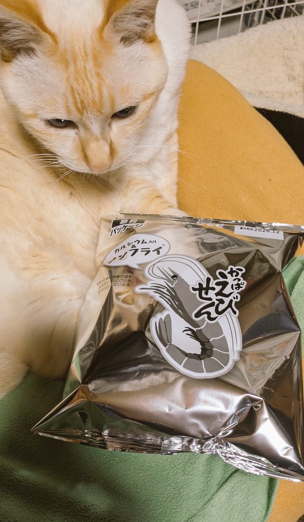 jun4557's tweet photo. 白黒かっぱえびせん🦐 https://t.co/buxylJDYi0