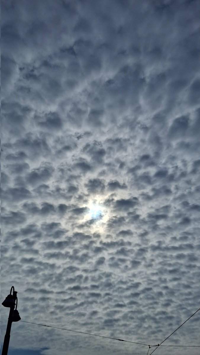 MySimDay's tweet photo. Have a good day!
#clouds
#sky
#photographs https://t.co/7SdQ1sLjbK